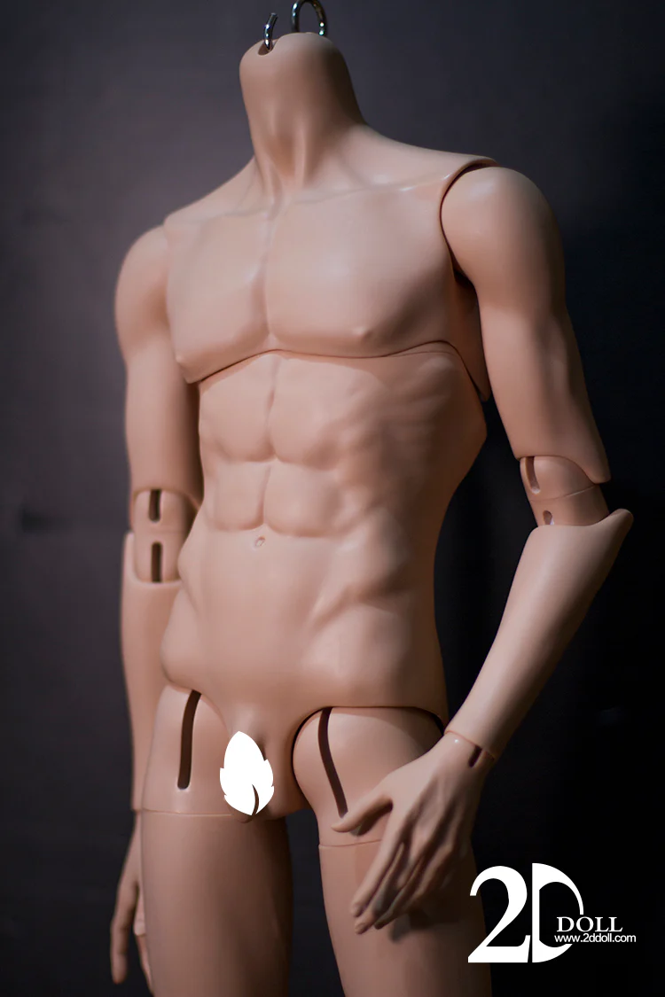 1/3 75cm Male Body Ver.2 | Preorder | PARTS - Image 4