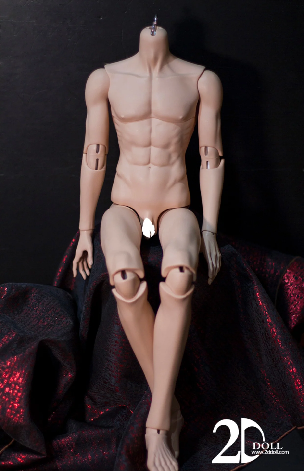 1/3 75cm Male Body Ver.2 | Preorder | PARTS - Image 6