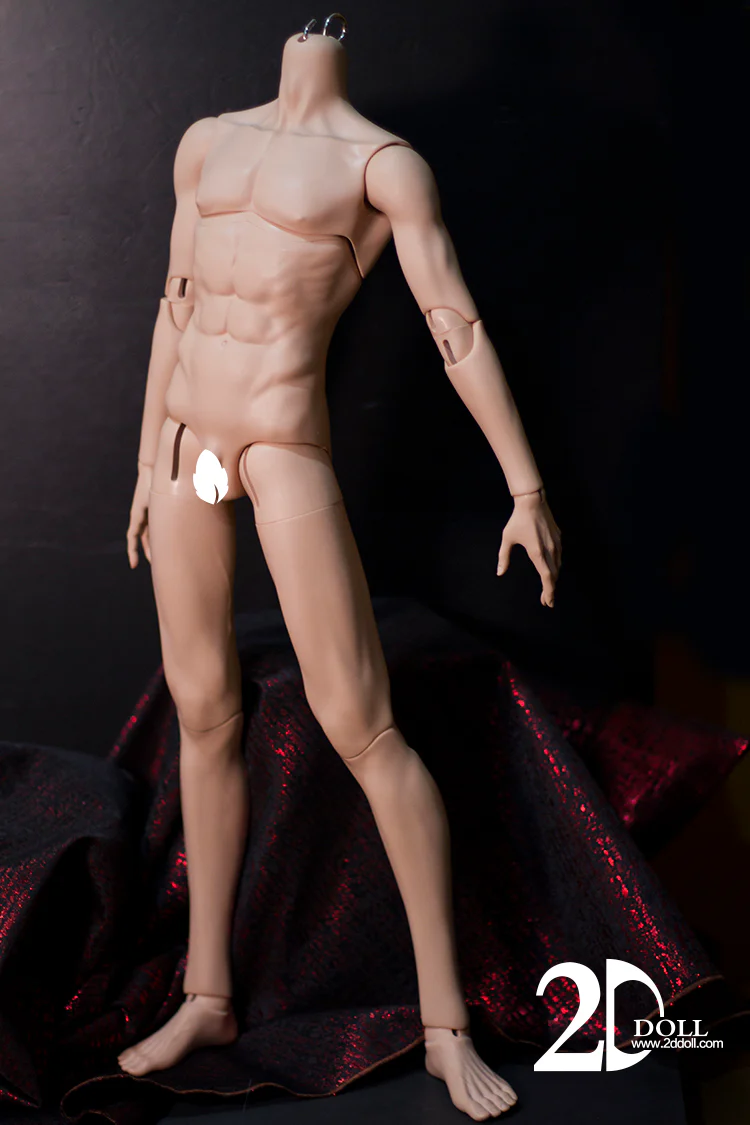 1/3 75cm Male Body Ver.2 | Preorder | PARTS - Image 8
