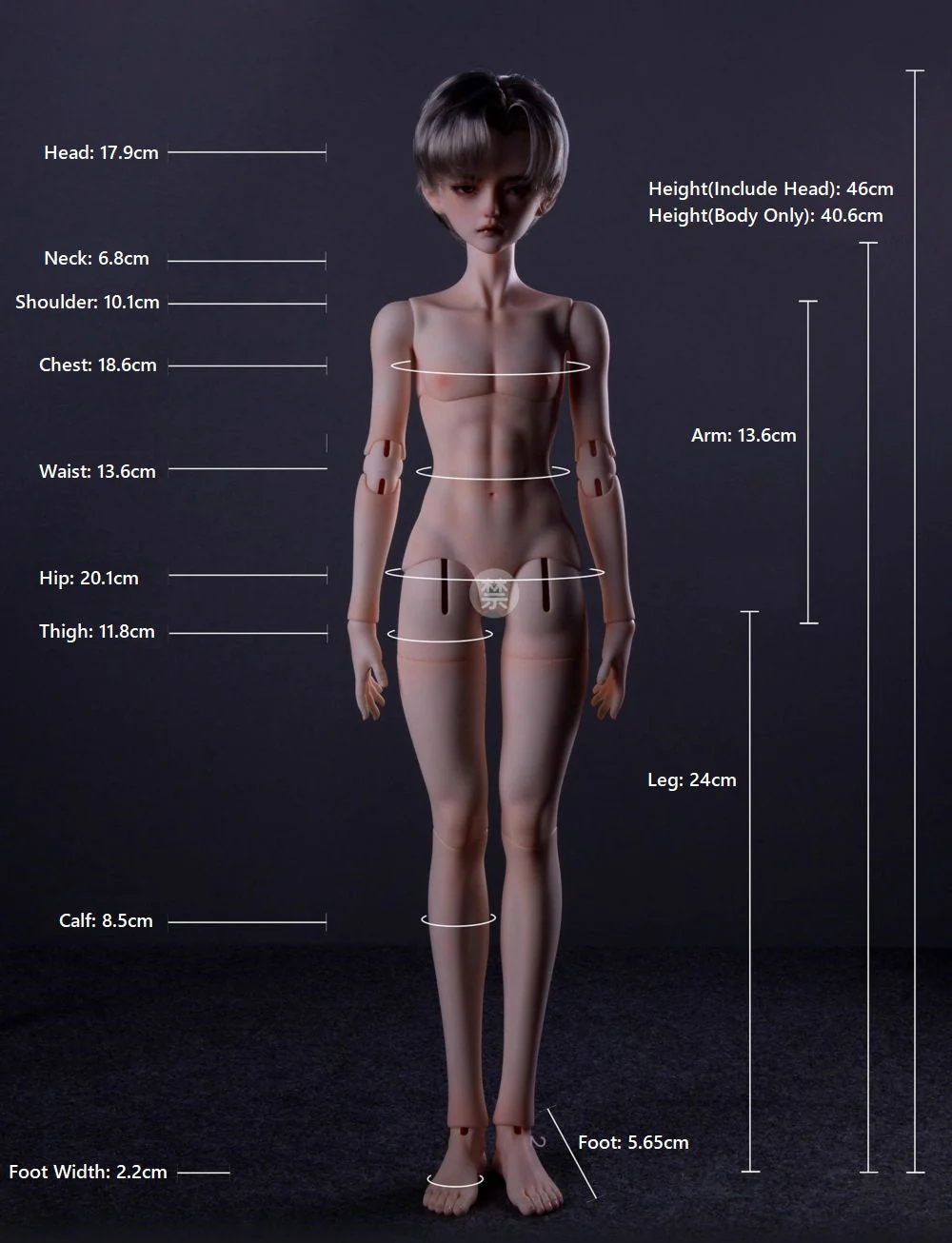 1/4 Boy Body (Heritish body) | Preorder | PARTS - Image 11