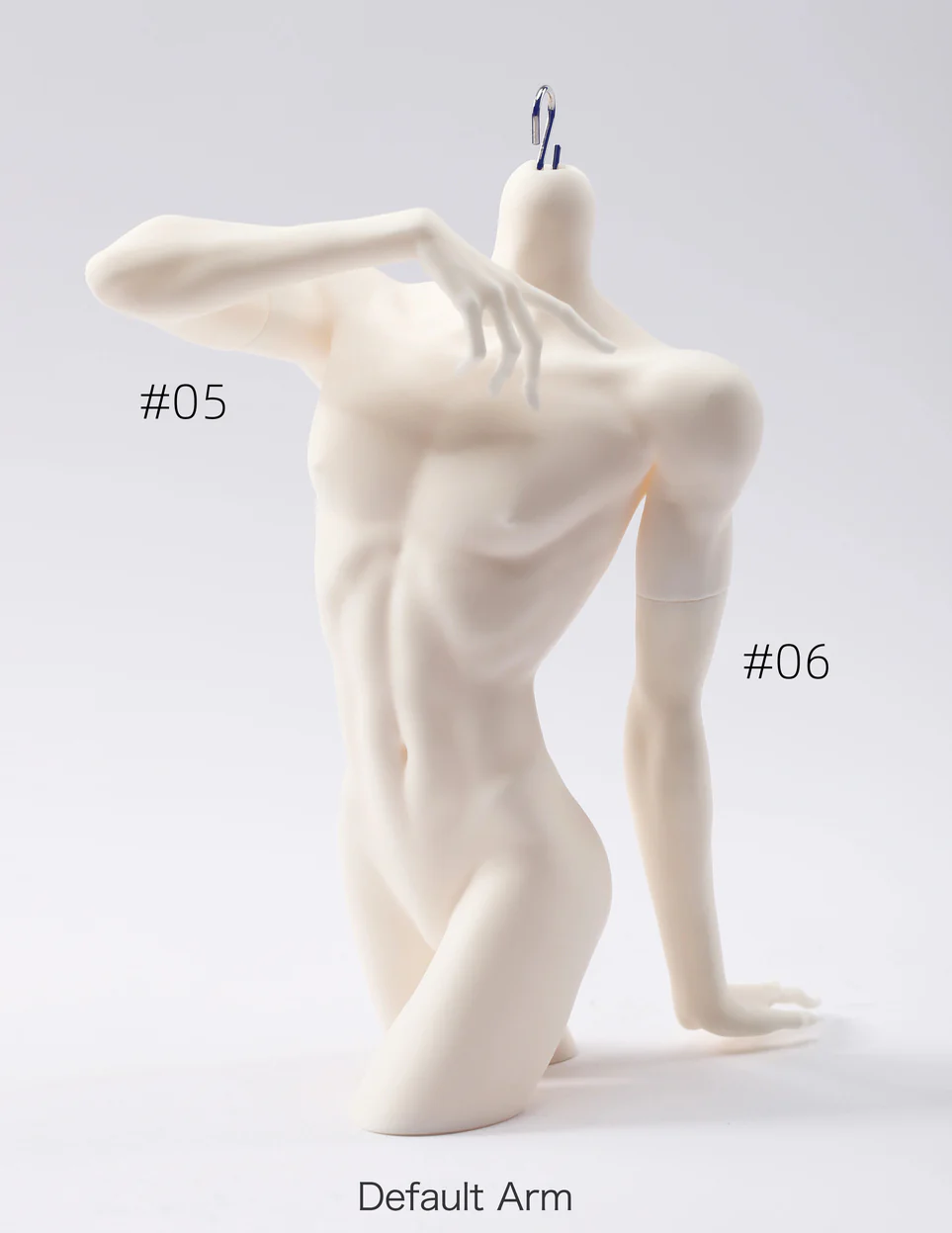 1/4 Chest Model (Torso) [Limited Time Offer] | PREORDER | DOLL - Image 10