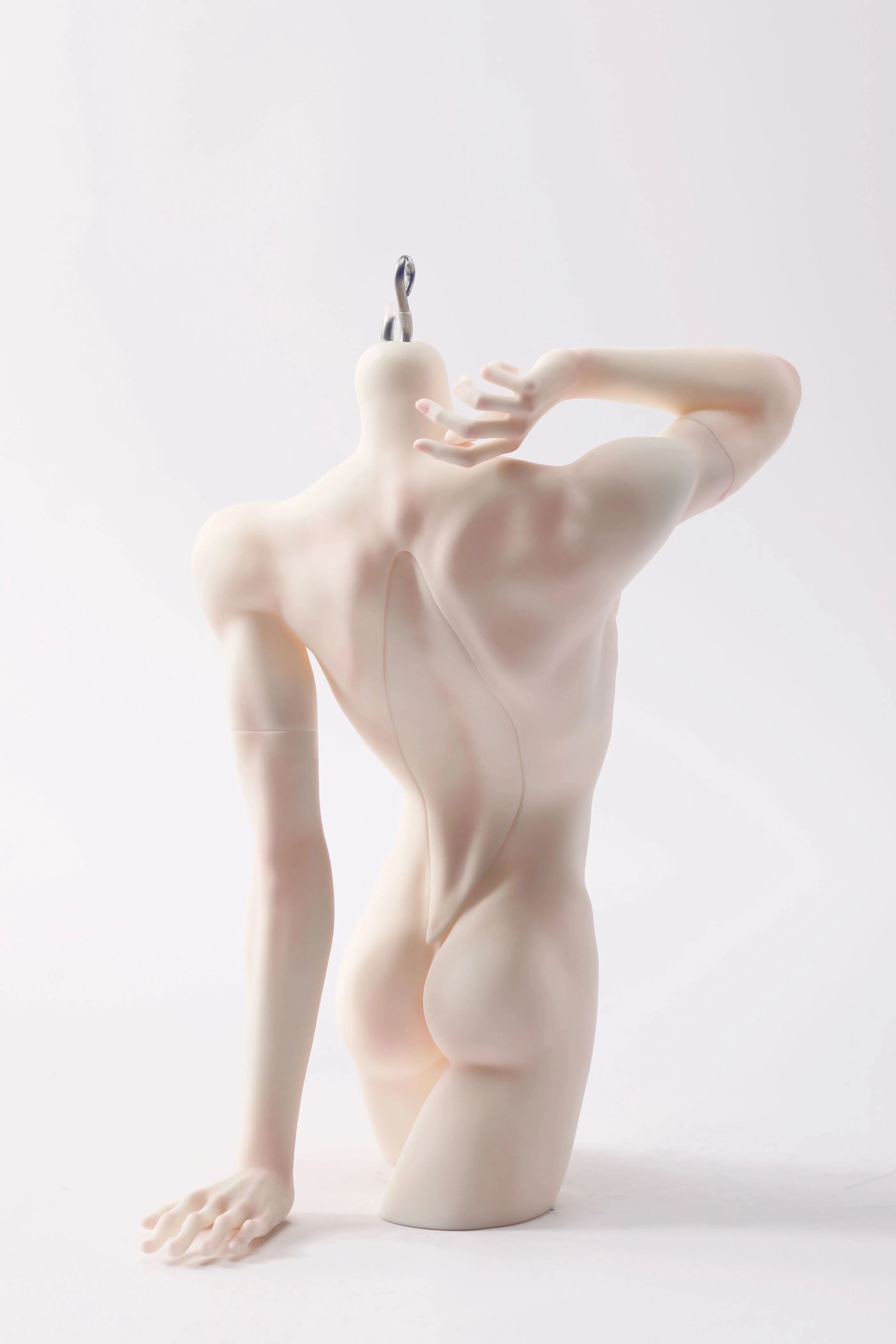 1/4 Chest Model (Torso) [Limited Time Offer] | PREORDER | DOLL - Image 3