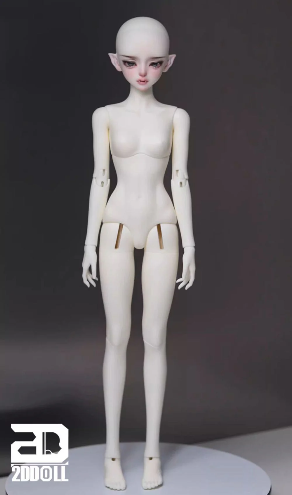 1/4 Girl Body  | PREORDER | PARTS - Image 3