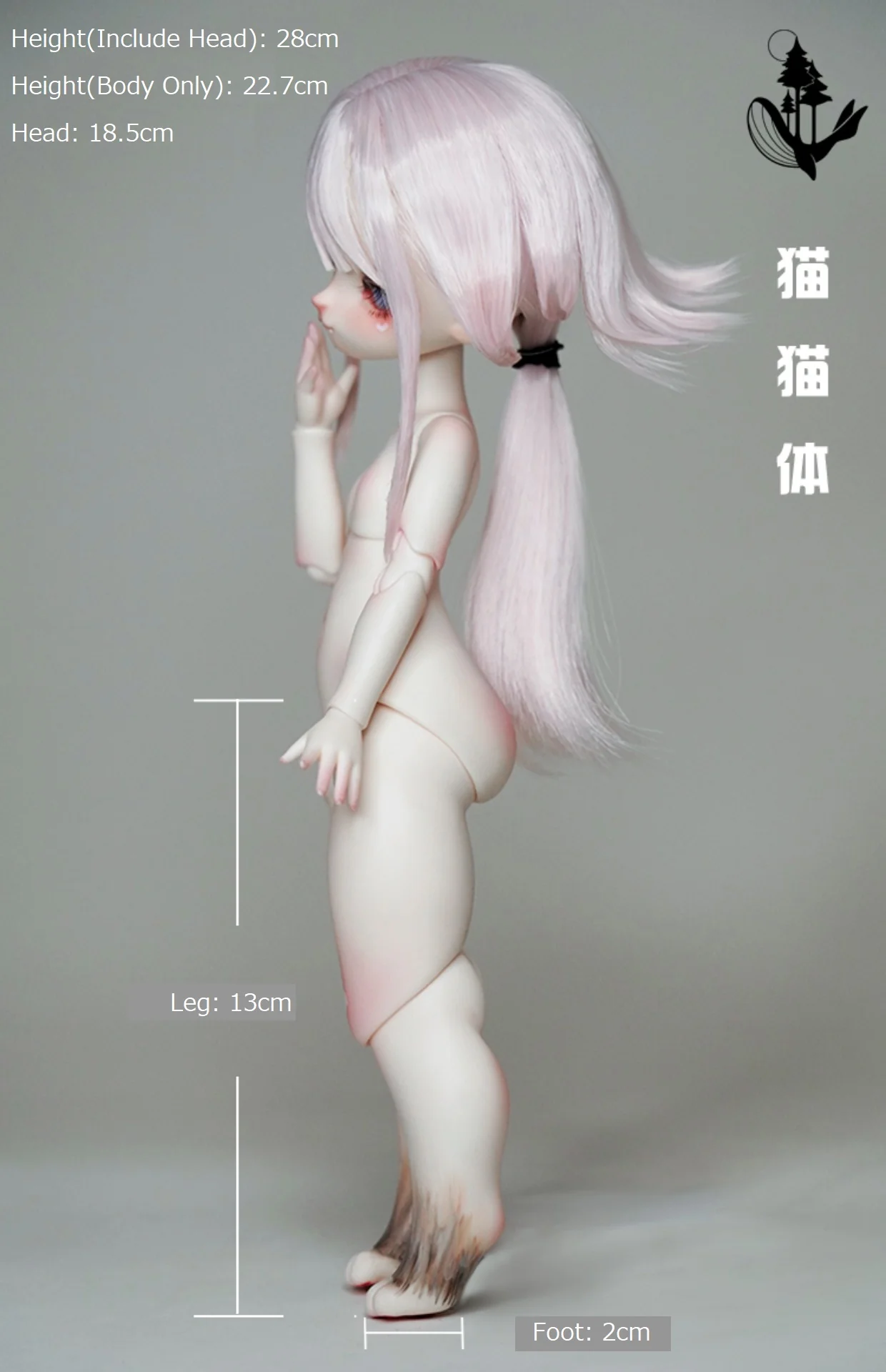 1/6 Body (cat cat body) | Preorder | PARTS - Image 10