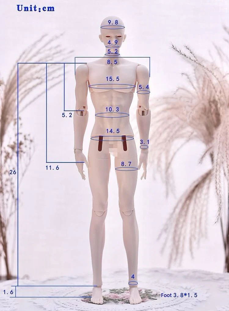 1/6 Boy Doll | PREORDER | DOLL - Image 13