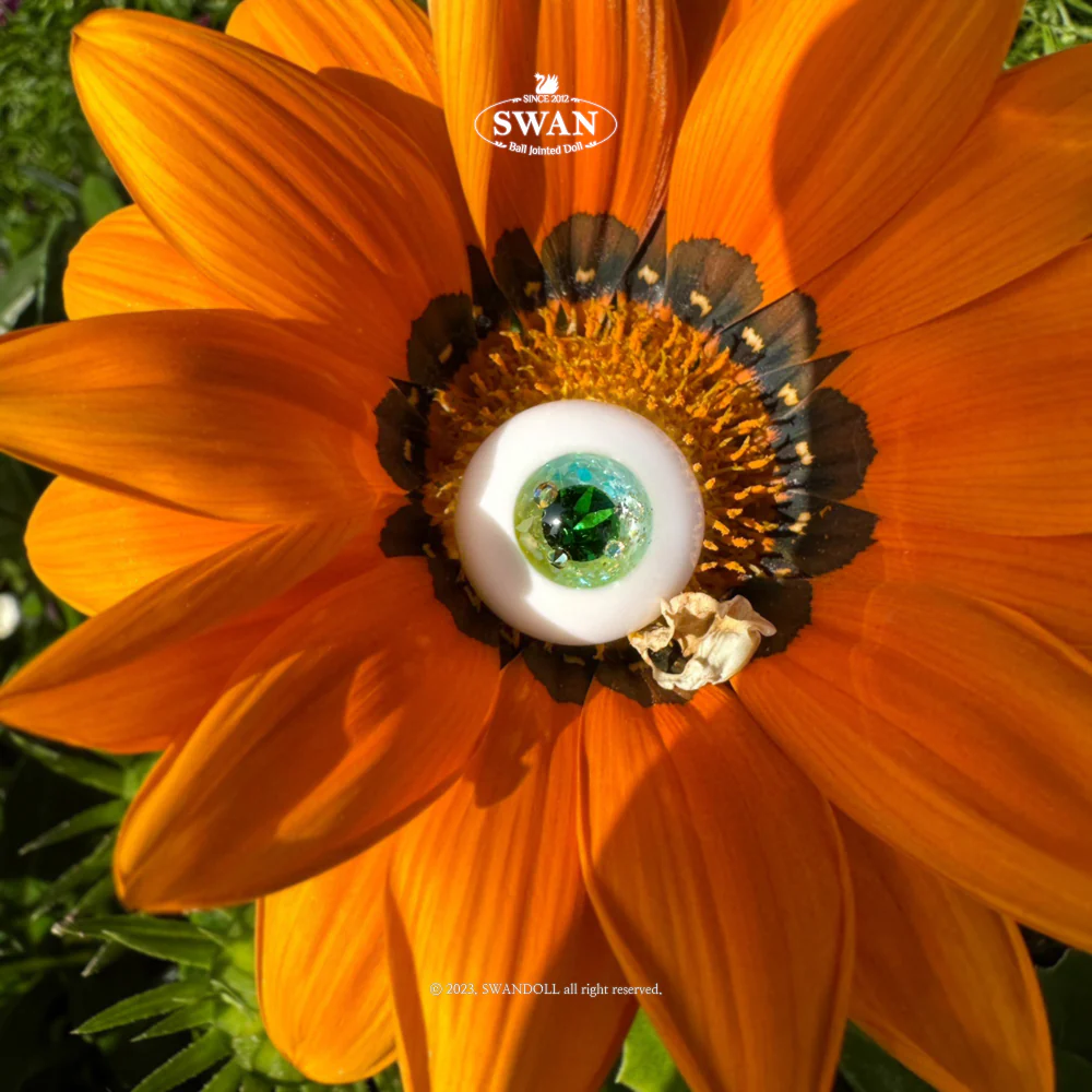 16mm [P0000BKK] [Basic] | Preorder | EYES - Image 6