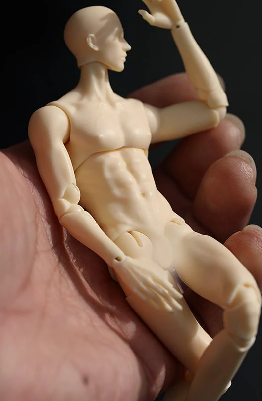 17 Evolve Body | Preorder | PARTS - Image 2