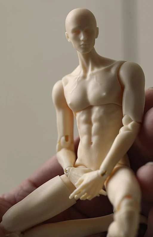 17 Evolve Body | Preorder | PARTS - Image 4