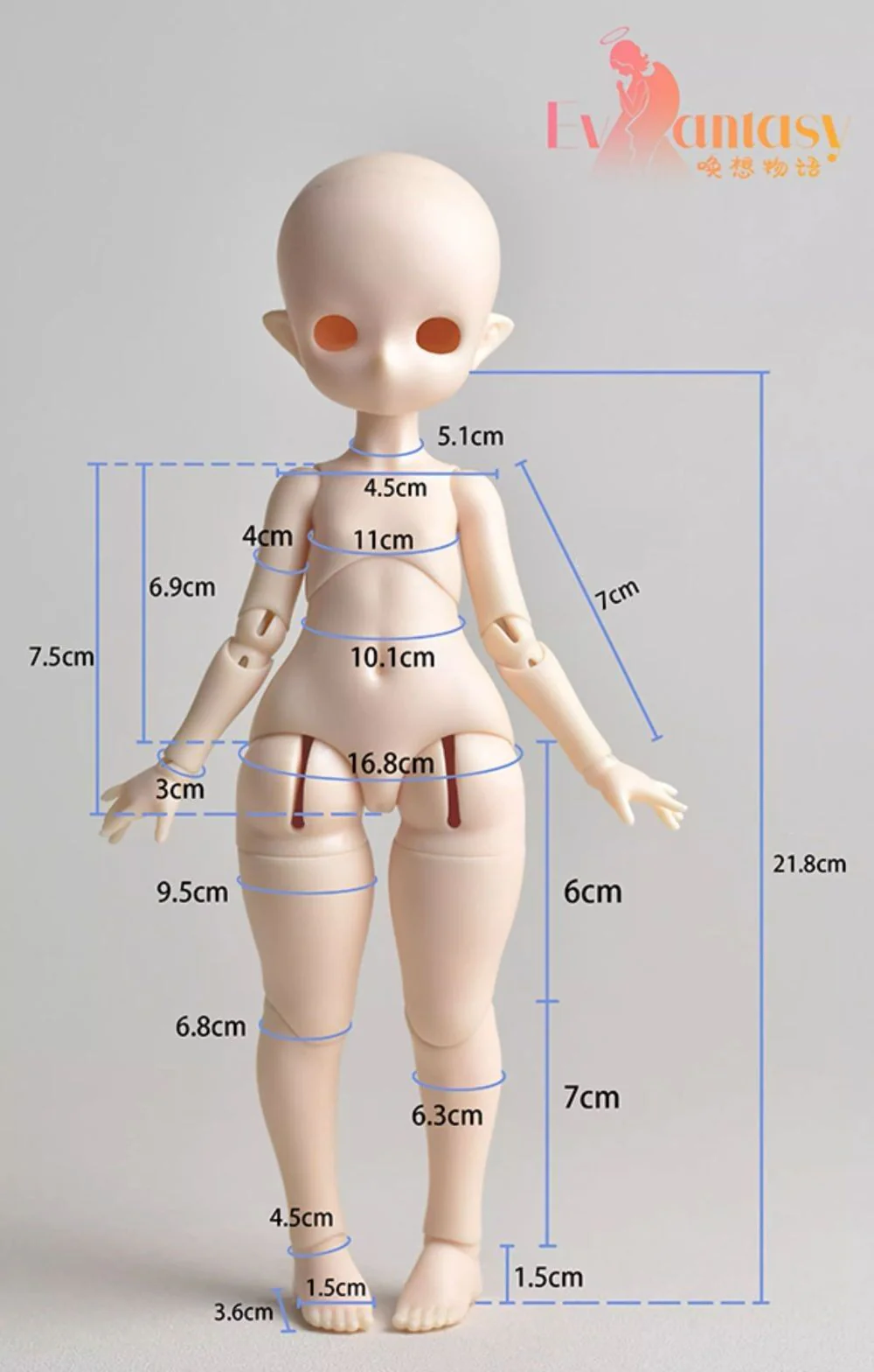 26cm Body (ES-2601SY) | Preorder | PARTS - Image 9