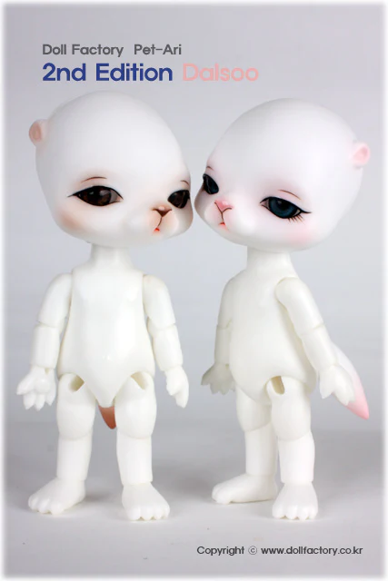 2nd Edition Dalsoo | Preorder | DOLL - Image 5