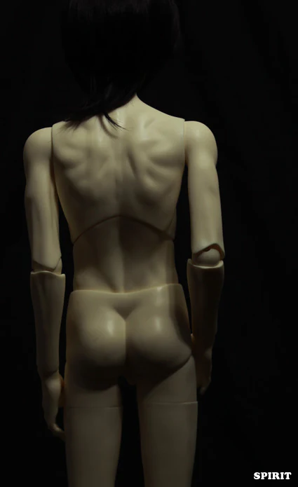2nd ver. Proud Male Body (Jointed Torso) | Preorder | PARTS - Image 3