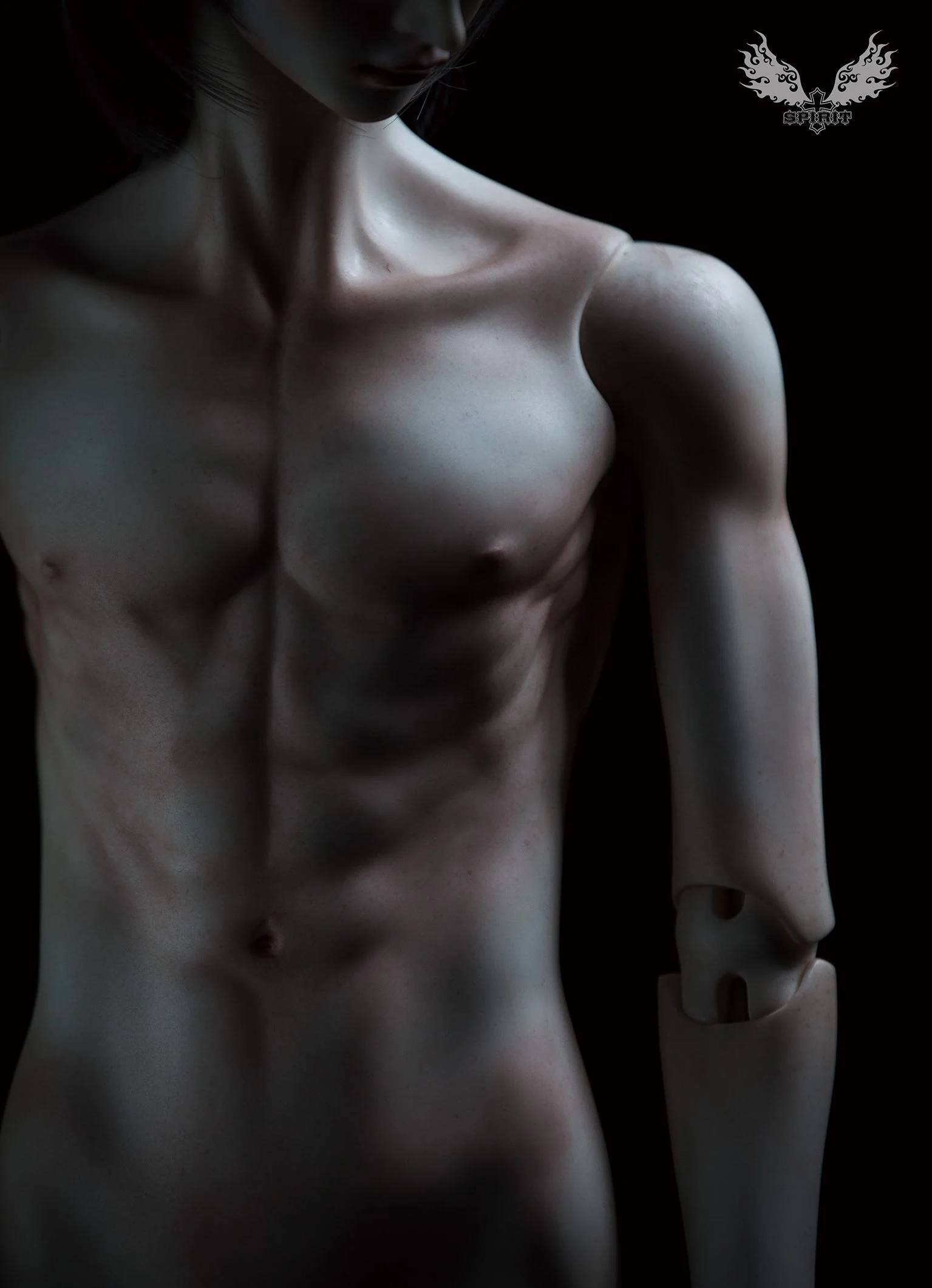 2nd ver. Proud Male Body (Single Torso) | Preorder | PARTS