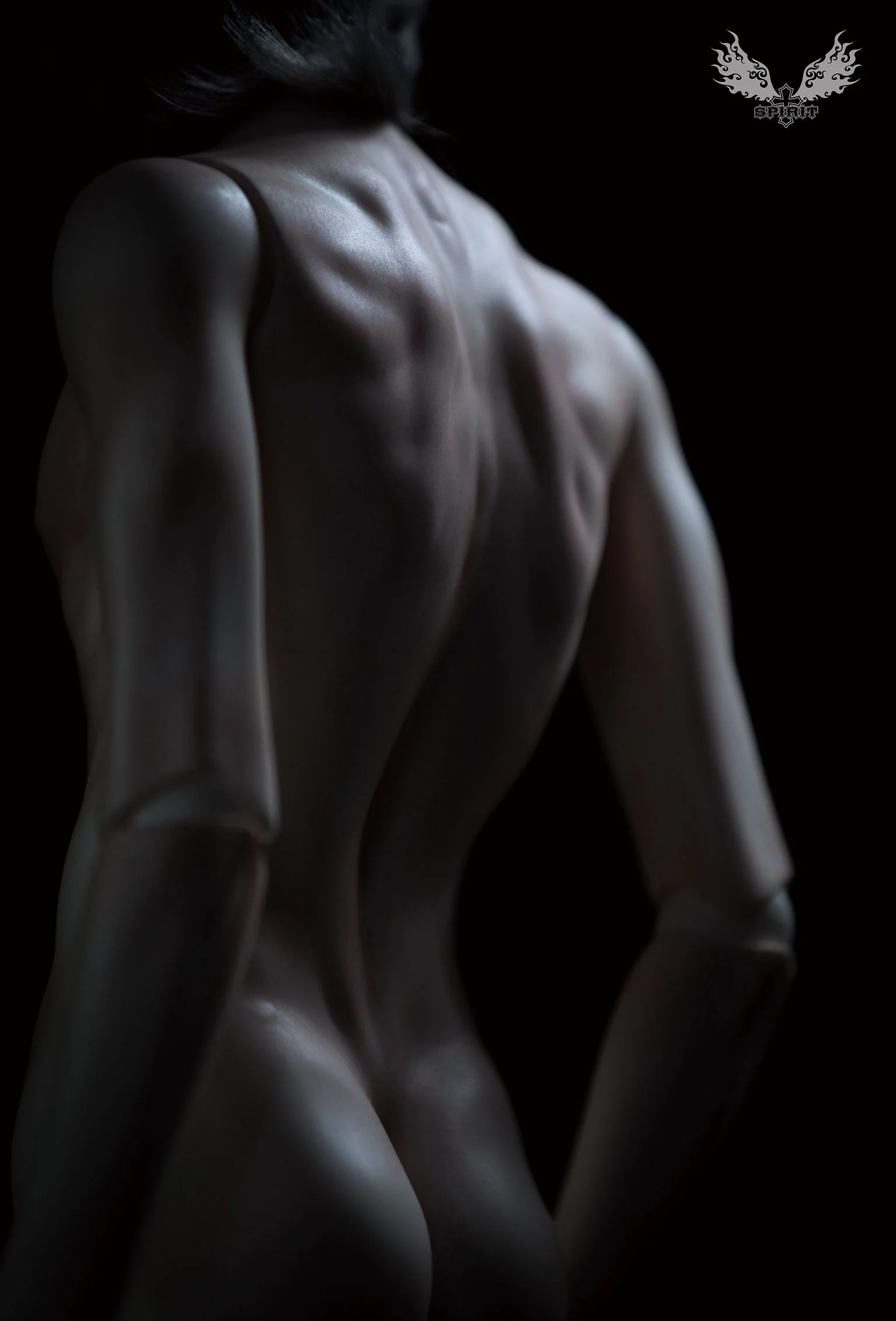2nd ver. Proud Male Body (Single Torso) | Preorder | PARTS - Image 2