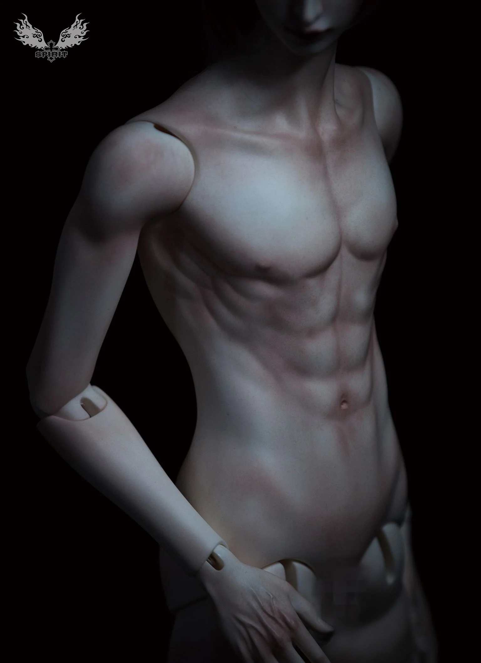 2nd ver. Proud Male Body (Single Torso) | Preorder | PARTS - Image 3
