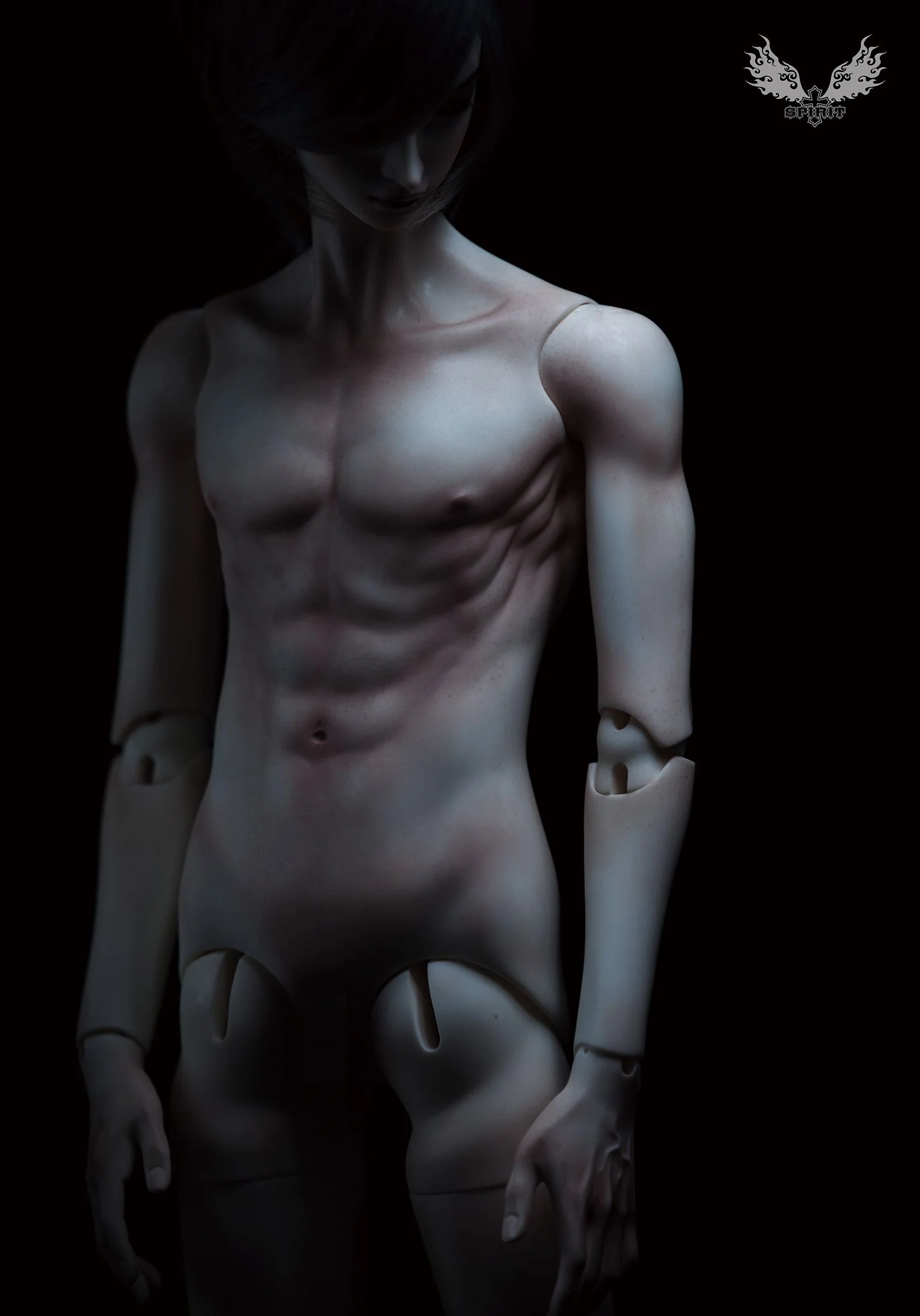 2nd ver. Proud Male Body (Single Torso) | Preorder | PARTS - Image 4