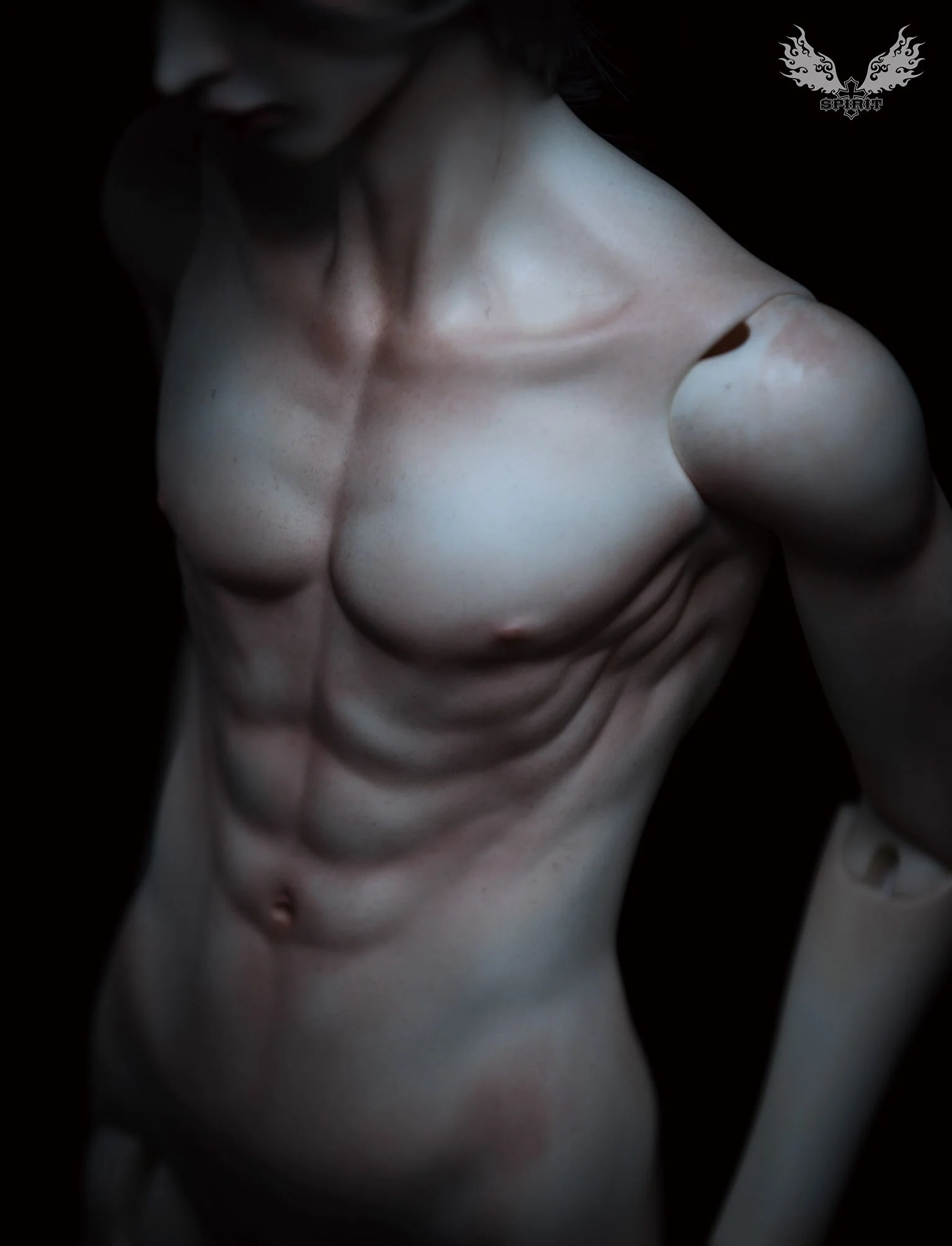 2nd ver. Proud Male Body (Single Torso) | Preorder | PARTS - Image 6