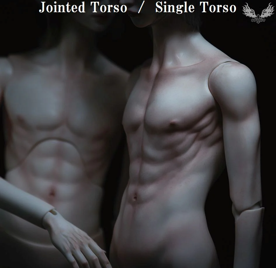 2nd ver. Proud Male Body (Single Torso) | Preorder | PARTS - Image 9