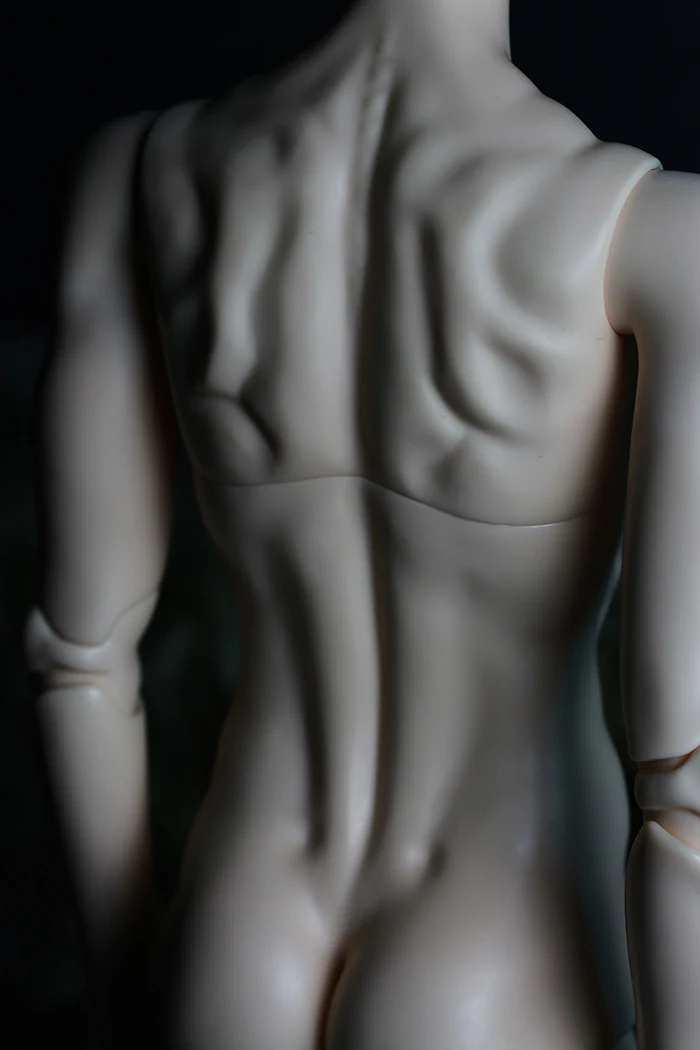 71cm Boy Body | Preorder | PARTS - Image 4