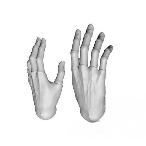 75 Joint Hands [Limited Time Offer] | PREORDER | PARTS - Image 4
