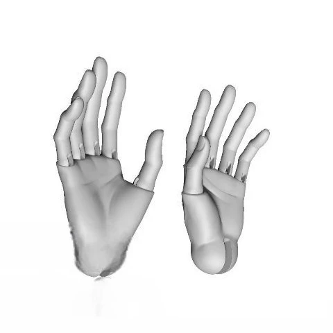 75 Joint Hands [Limited Time Offer] | PREORDER | PARTS - Image 5