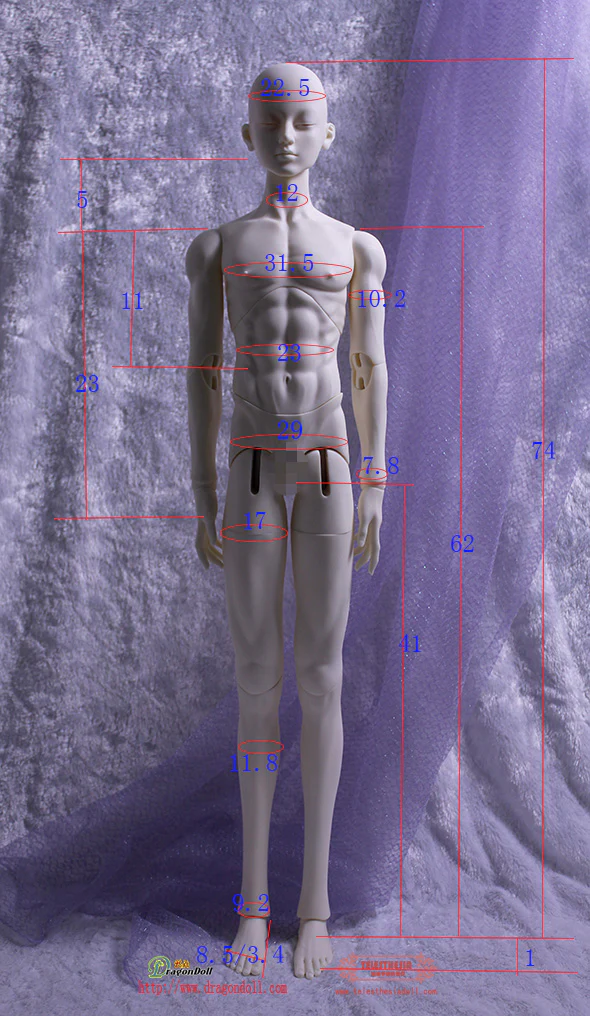 75cm Boy Body (74cm) | Preorder | PARTS - Image 14