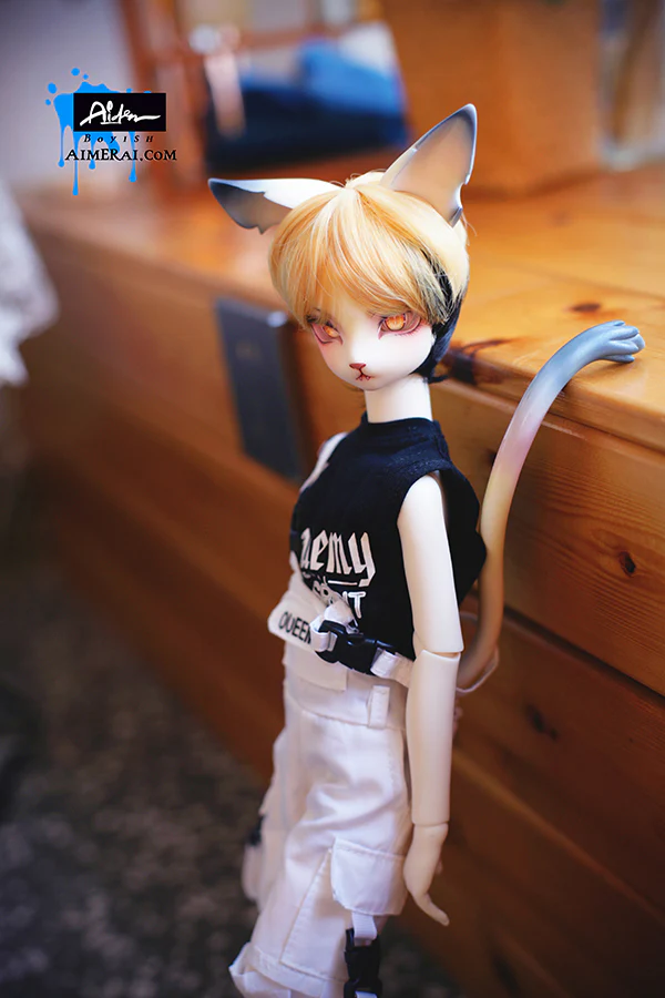 Aiden — Off Duty ver. | Preorder | DOLL - Image 4