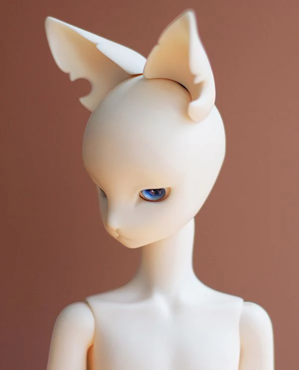 Ansel - Case File ver. Fullset | Preorder | DOLL - Image 12