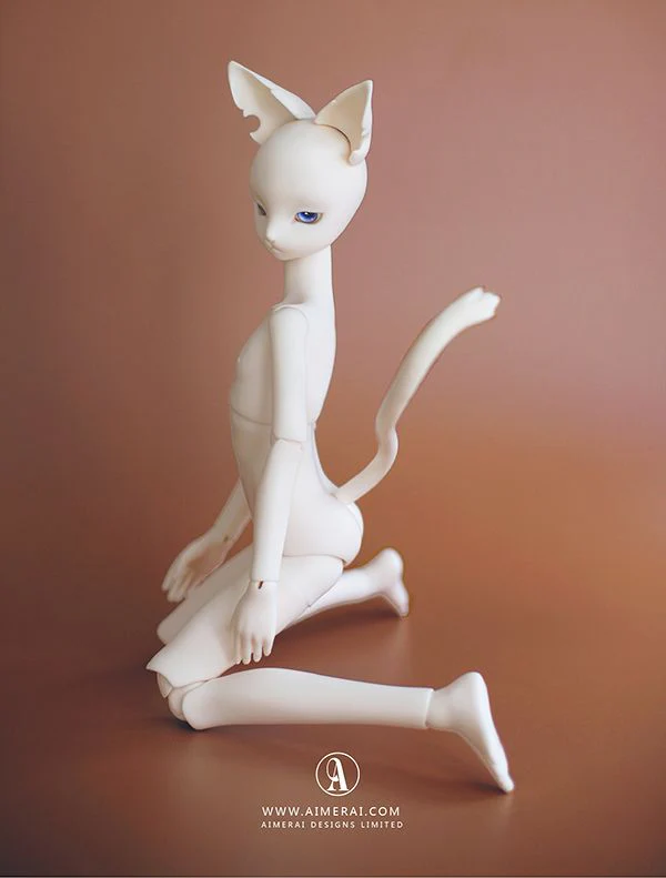 Ansel - Case File ver. Fullset | Preorder | DOLL - Image 14