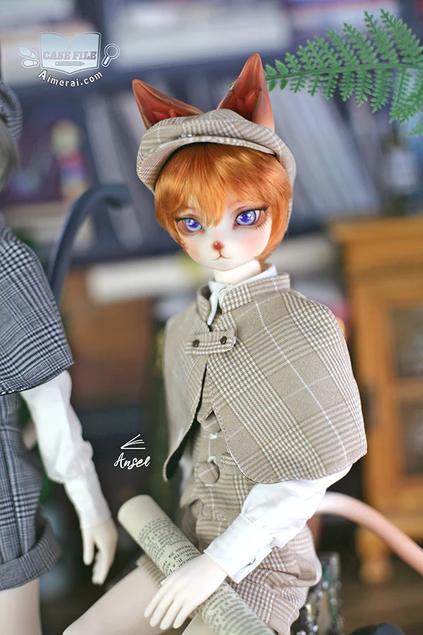 Ansel - Case File ver. Fullset | Preorder | DOLL - Image 3