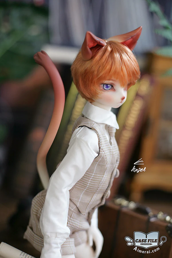 Ansel - Case File ver. | Preorder | DOLL - Image 4