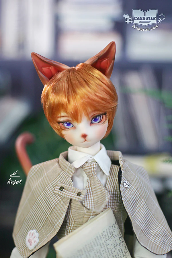 Ansel - Case File ver. | Preorder | DOLL - Image 5