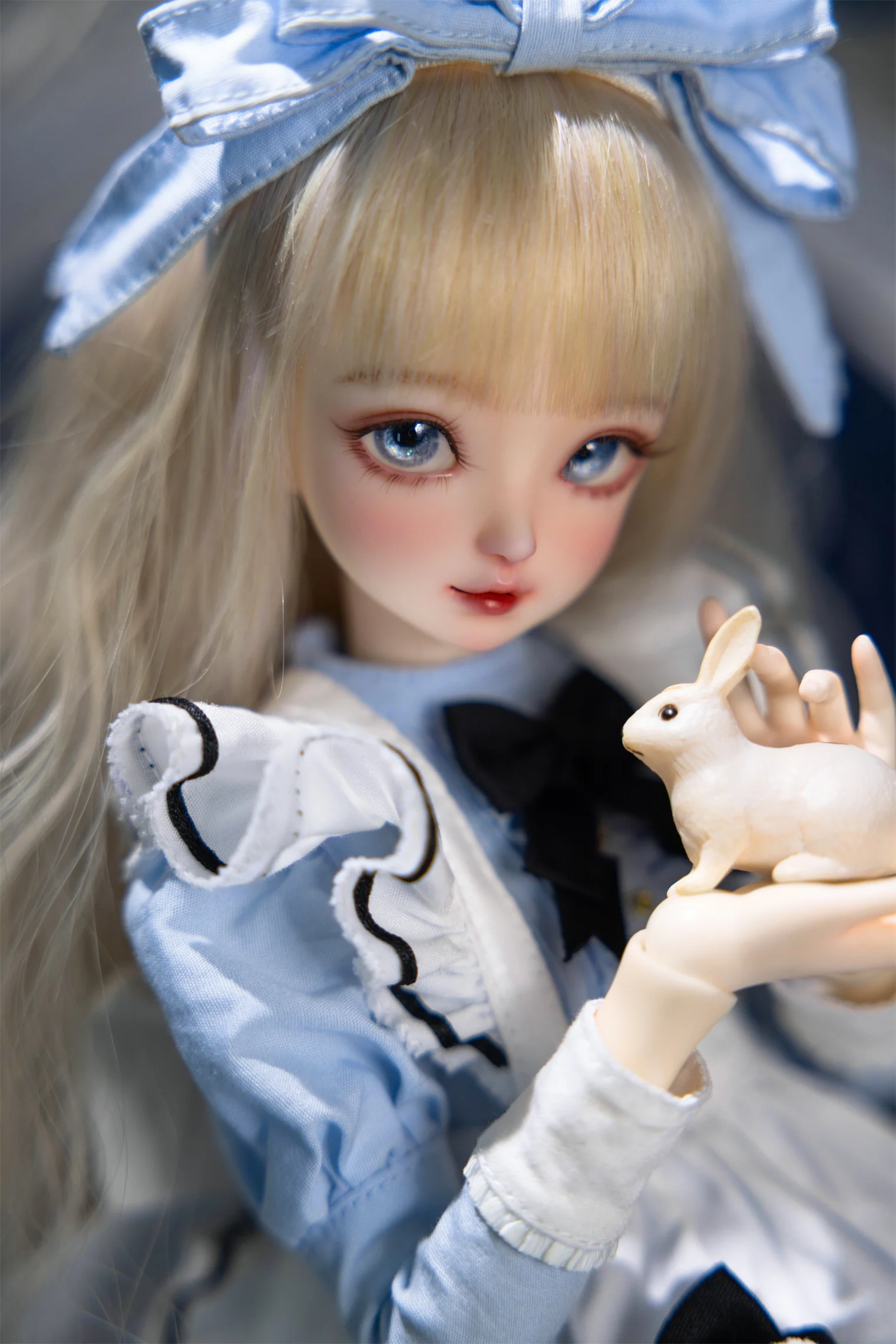 AZUKI in Wonderland ~Alice ver.~ [Limited Time] | Preorder | DOLL - Image 5
