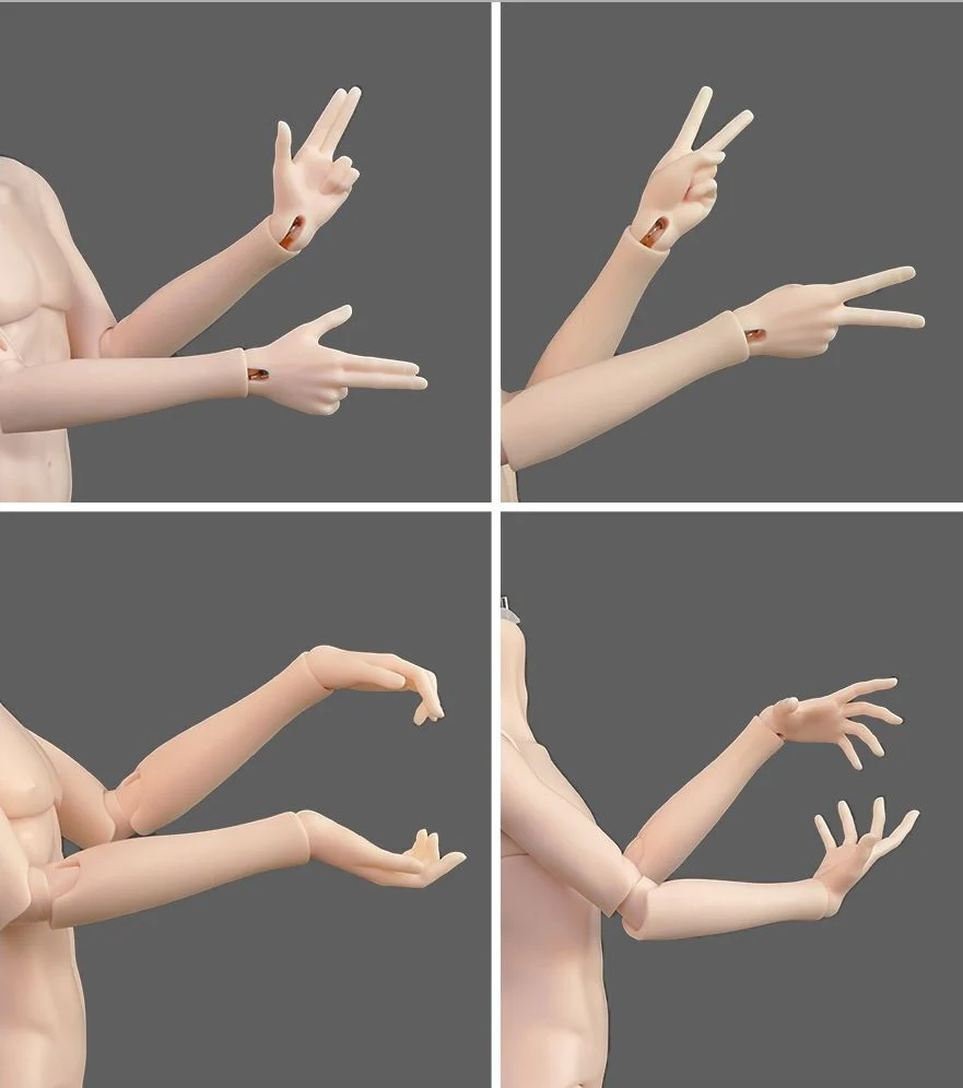 B01 Body (male body) | Preorder | PARTS - Image 10