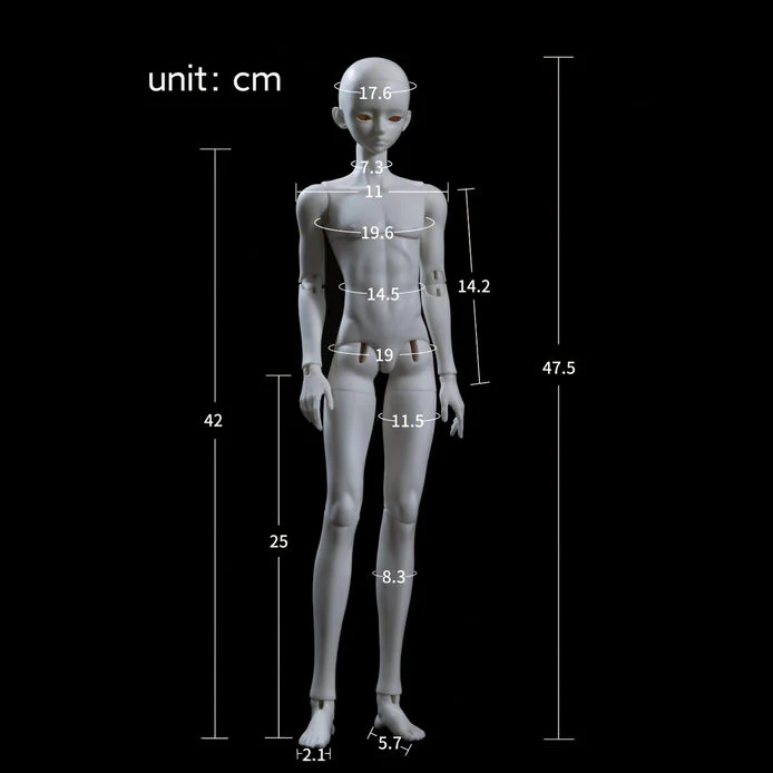 B01 Body (male body) | Preorder | PARTS - Image 16
