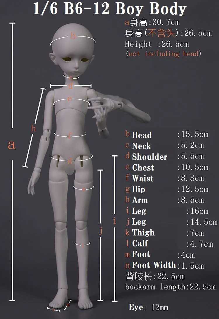 B6-12 Boy Body | Preorder | PARTS - Image 13