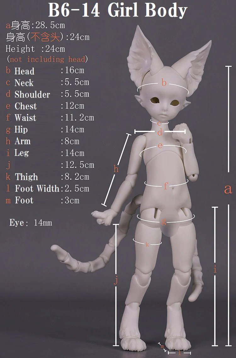 B6-14 Girl Body | Preorder | PARTS - Image 7