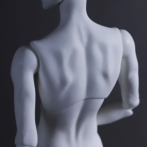 B73-01 Boy Body | Preorder | PARTS - Image 6