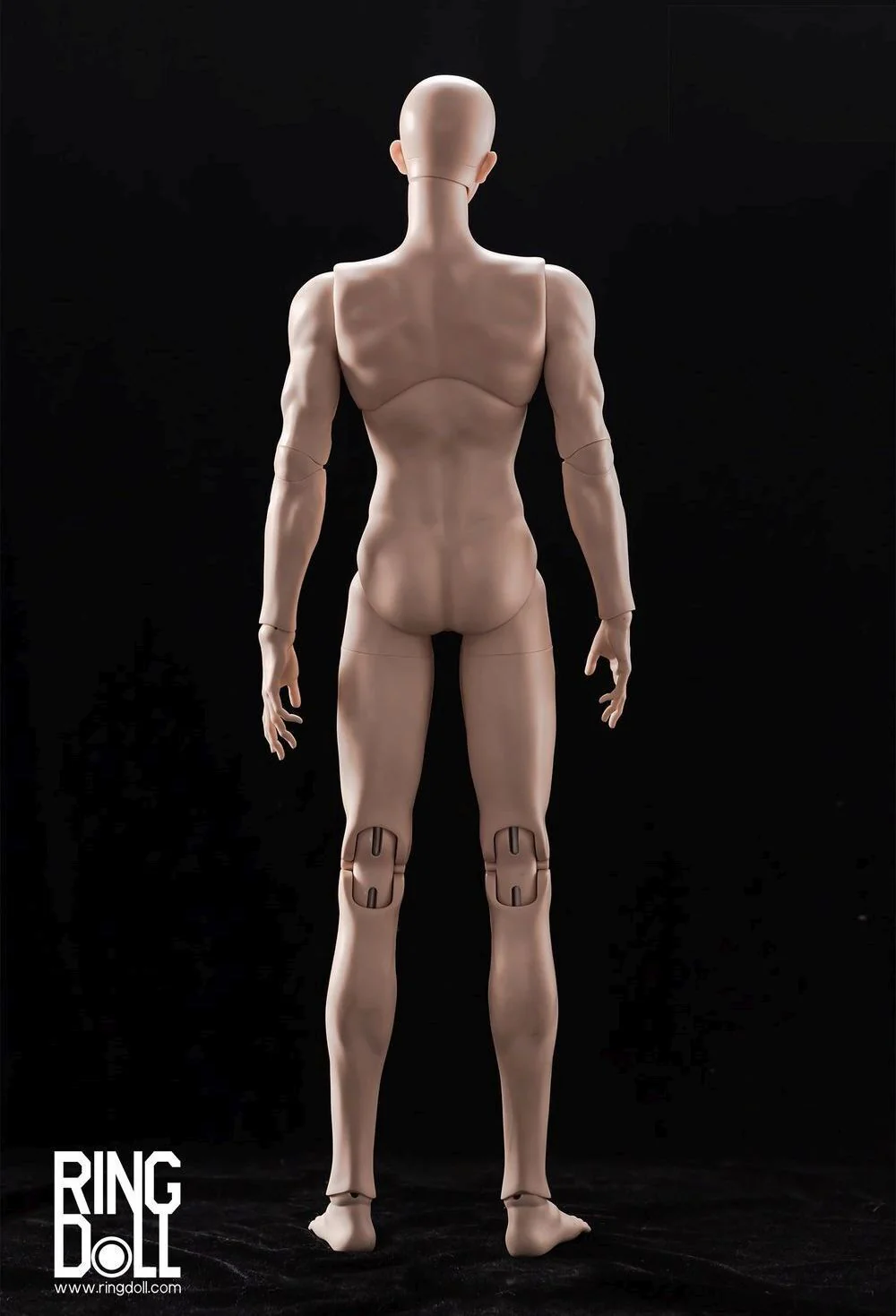 Baldwin IV | Preorder | DOLL - Image 27