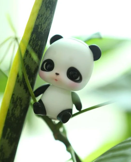 Baobao ver. Berry Fullset (with Panda Ver. Bebe) [limited time] | Preorder | DOLL - Image 8