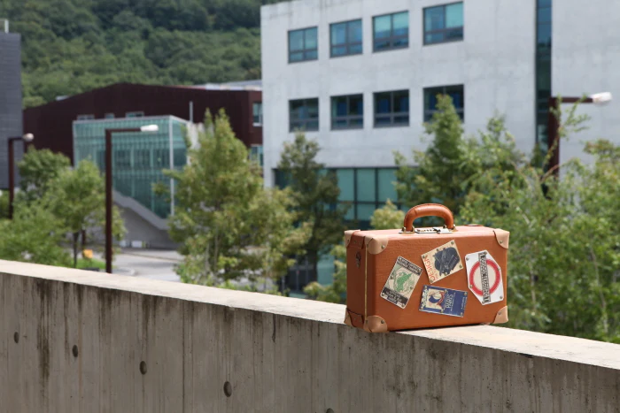 CARRIER VINTAGE BAG USD (Brown) 14inch | Preorder | TOOL - Image 6
