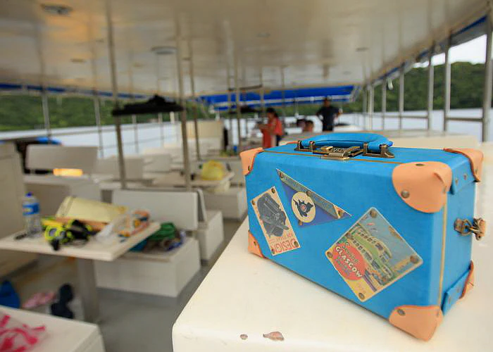 CARRIER VINTAGE BAG USD（Sky Blue)14inch | Preorder | TOOL - Image 3