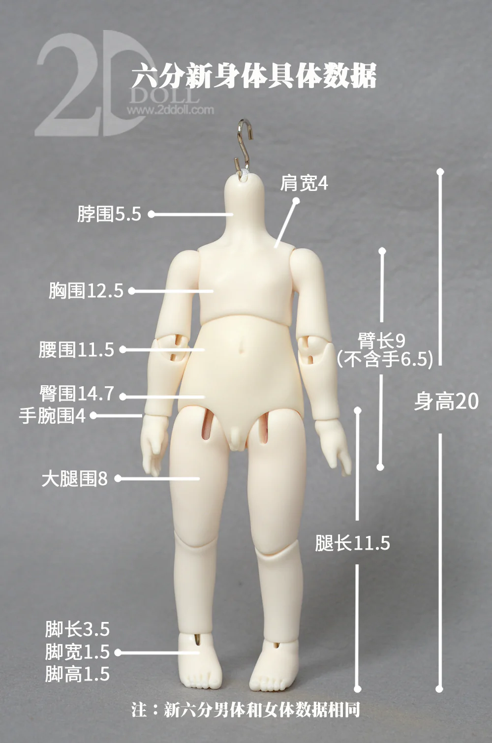 Chocolate | Preorder | DOLL - Image 9