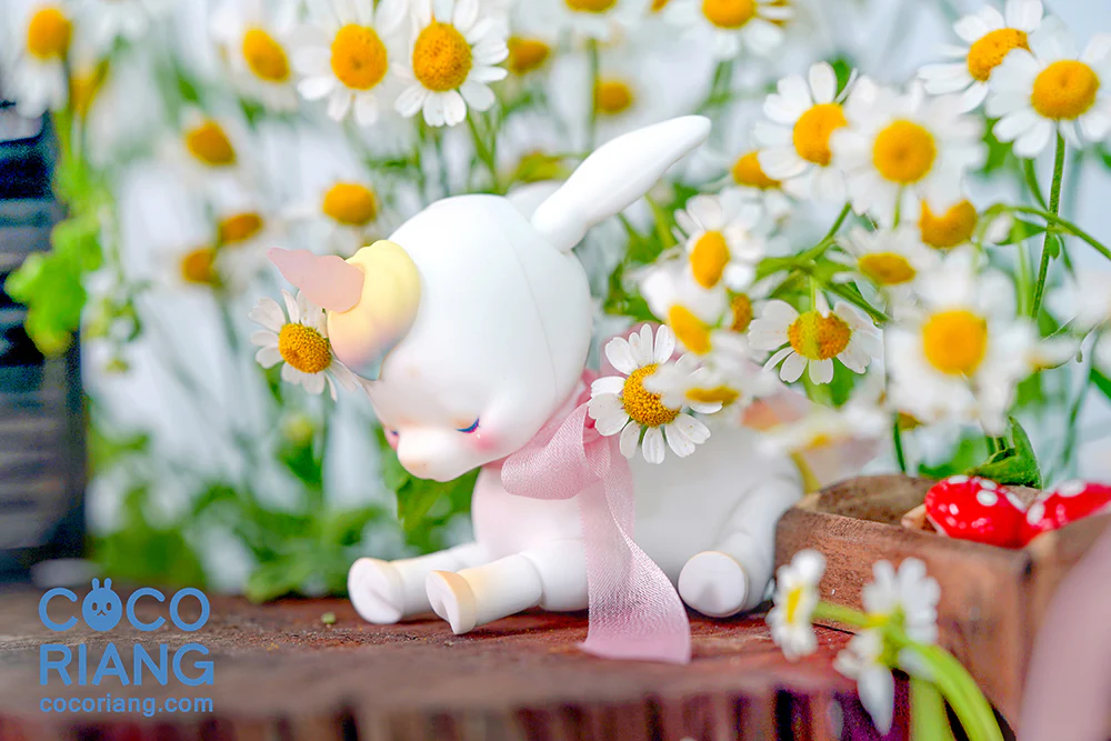 Crail [Cream White] | Preorder | DOLL - Image 9