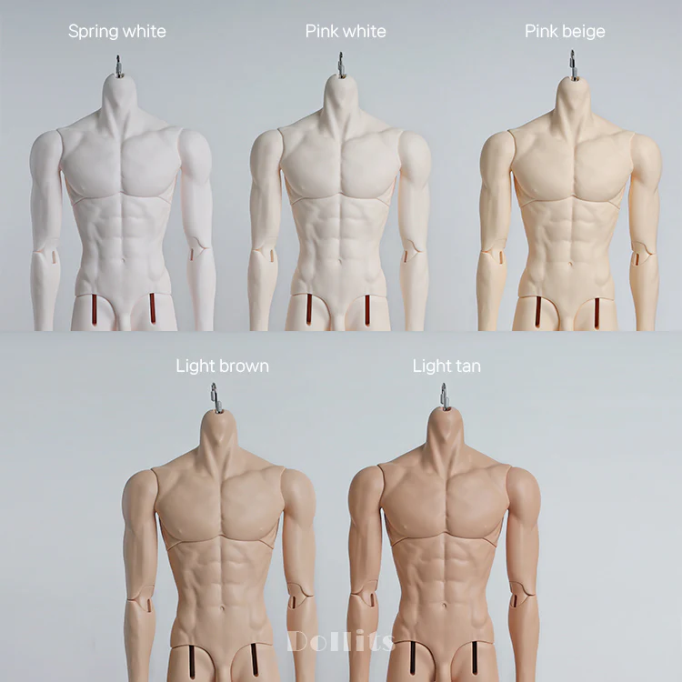 DAD70 body (Big chest, small feet) [Limited Time] | Preorder | PARTS - Image 13