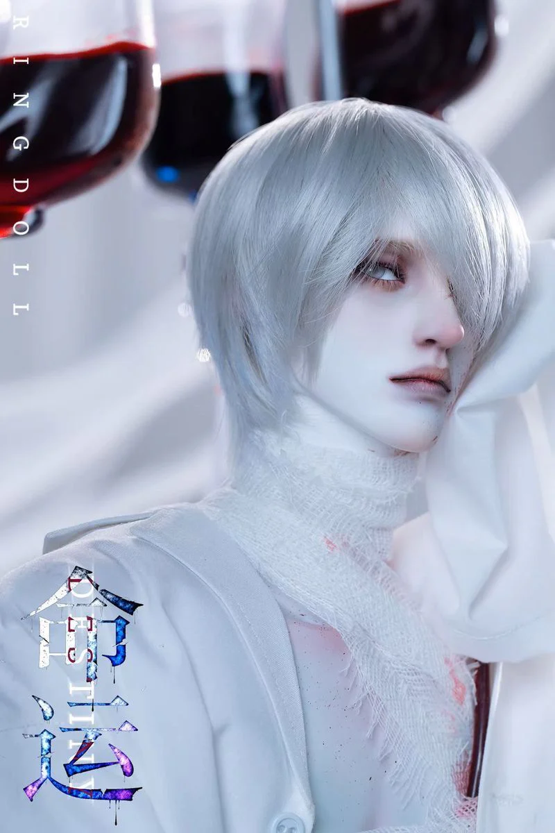 Destiny | PREORDER | DOLL - Image 5