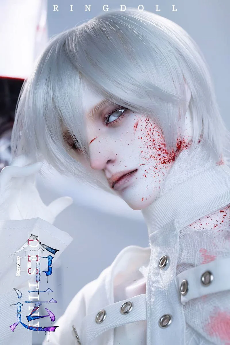Destiny | PREORDER | DOLL - Image 6