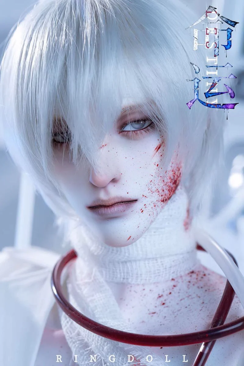 Destiny Fullset | PREORDER | DOLL - Image 10
