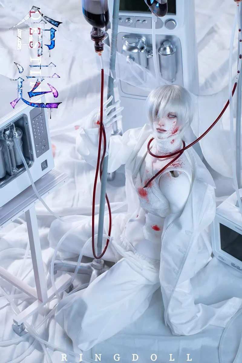 Destiny Fullset | PREORDER | DOLL - Image 29