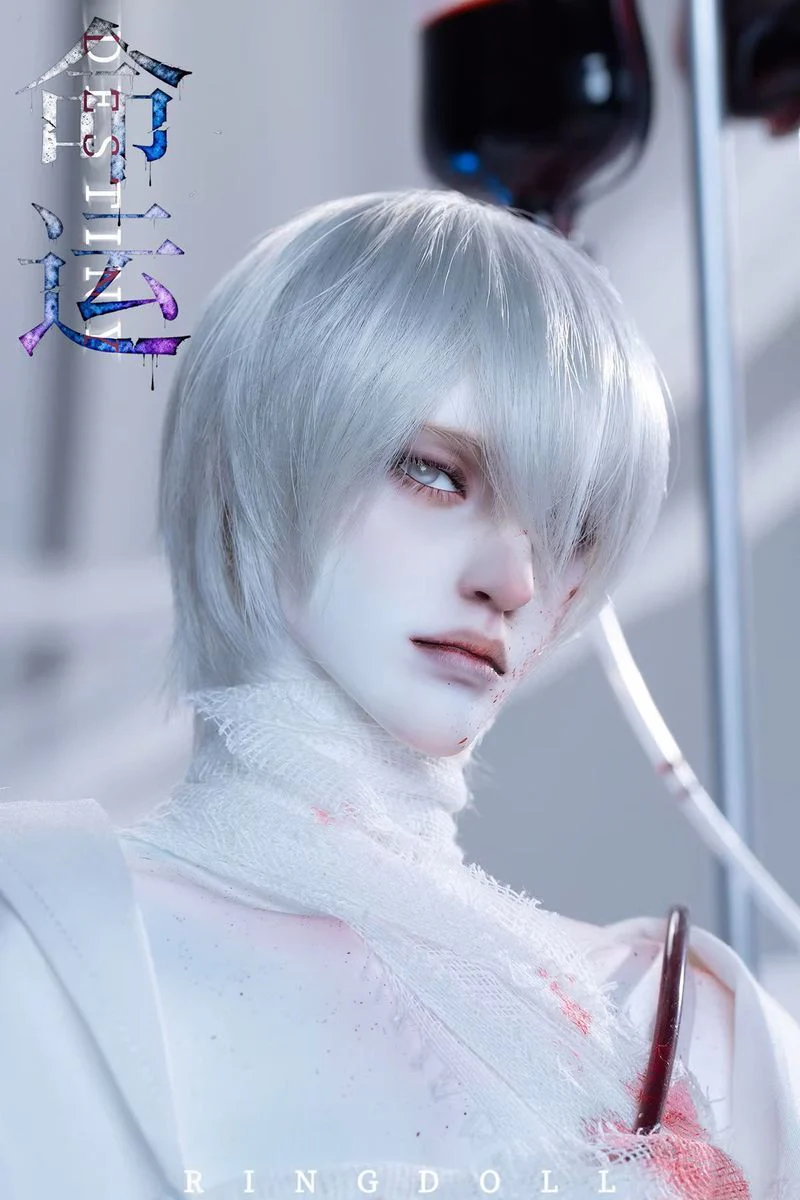 Destiny Fullset | PREORDER | DOLL - Image 3