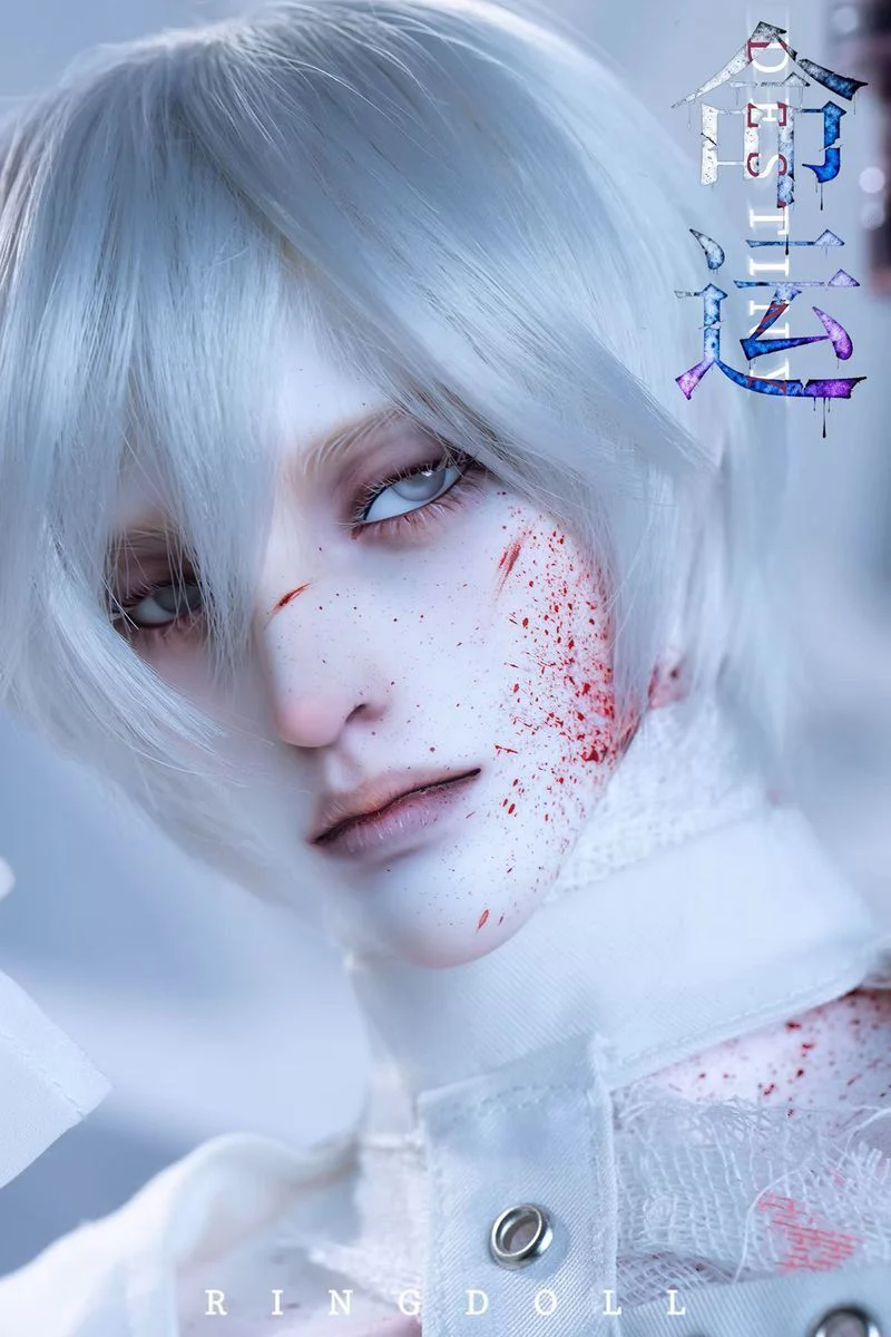 Destiny Fullset | PREORDER | DOLL - Image 7